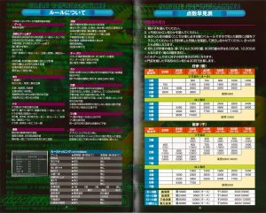 Pro Mahjong Kiwame Next manual 17-18