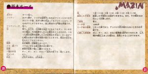 Mazin manual 20-21