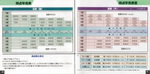 Pro Mahjong Kiwame S manual 30-31