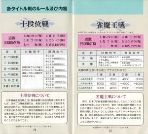 Pro Mahjong Kiwame manual 14-15