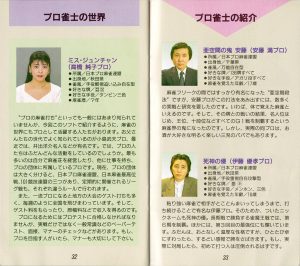 Pro Mahjong Kiwame manual 32-33