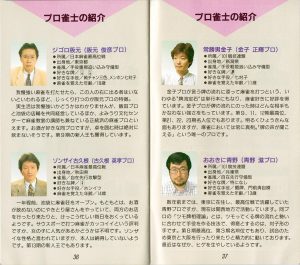 Pro Mahjong Kiwame manual 36-37