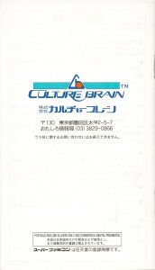 Pro Mahjong Tsuwamono manual 32